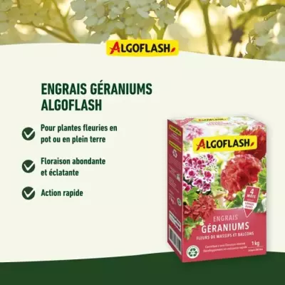 Engrais pour Géraniums et Fleurs - ALGOFLASH NATURASOL - 1 kg