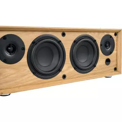 Enceinte Bluetooth Thomson WS702 150W Bois RCA USB AUX-IN TV Audio