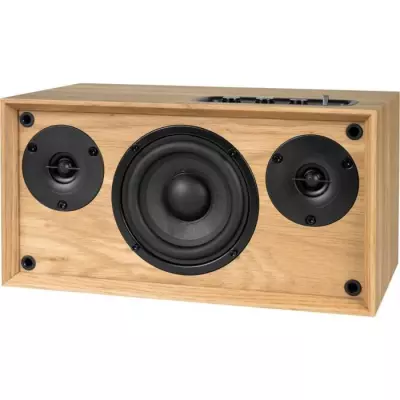 Enceinte résidentielle en bois Thomson WS502 - Puissance 100W