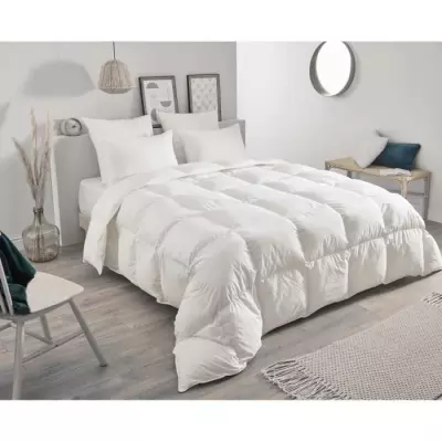 Oreiller TOISON D'OR Daisy en plumette et duvet 50x70cm - Blanc: douceur et confort assurés!