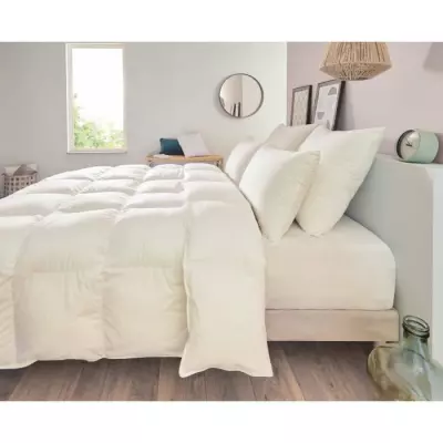 Oreiller TOISON D'OR Pollux Confort ferme 65x65cm Blanc - Confort optimal