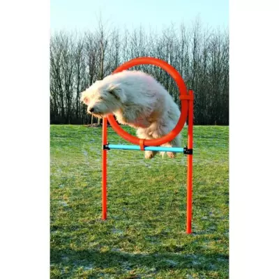 Cerceau d'agilité pour chiens 115cm: entraînement facile