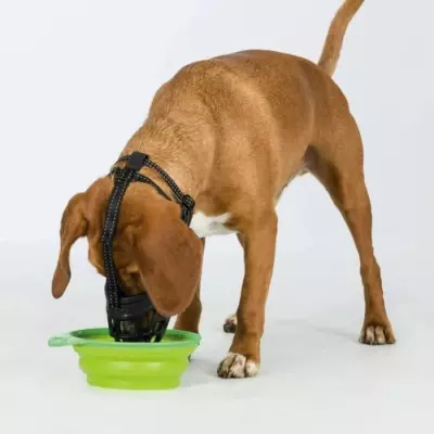 Museliere TRIXIE Muzzle Flex Caoutchouc Taille M/L - Noir