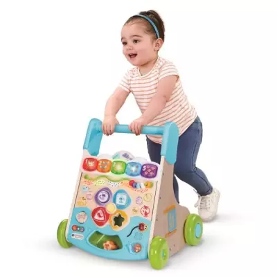 Trotteur interactif en bois VTECH Super Nature - FSC