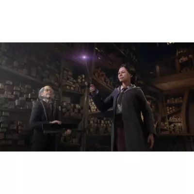 Plongez dans la magie avec Hogwarts Legacy sur PS4