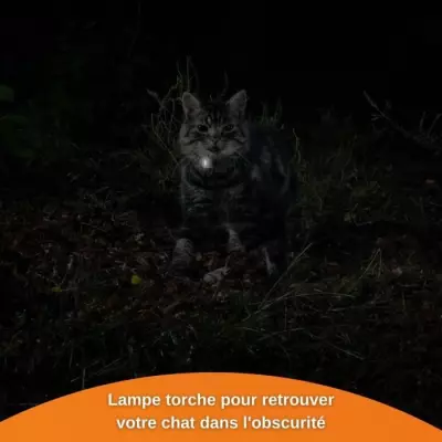 Traceur GPS pour Chat - Weenect XS Blanc 2023