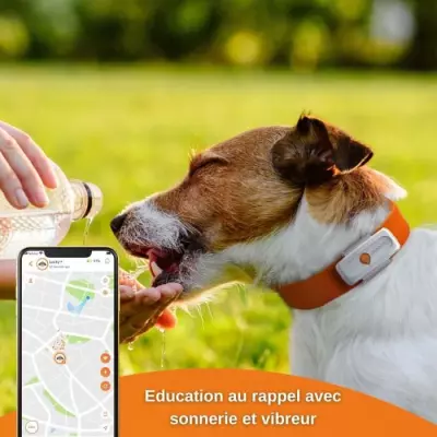 Traceur GPS pour Chien - Weenect XS Blanc (Édition 2023) Traceur GPS pour Chien - Weenect XS Blanc (Édition 2023)