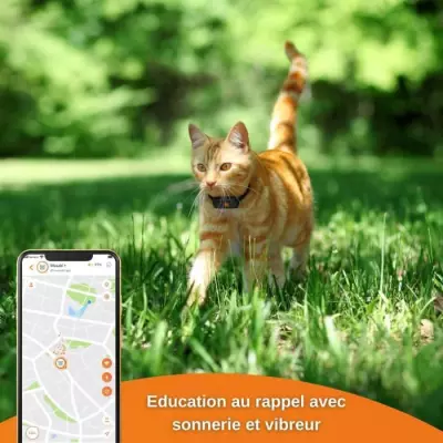 Traceur GPS pour Chat - Weenect XS (Black Edition 2023) - Suivi et localisation facile