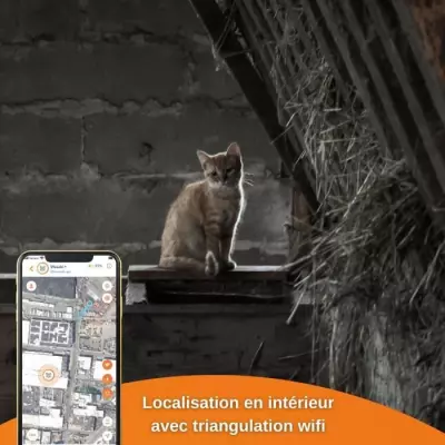 Traceur GPS pour Chat - Weenect XS (Black Edition 2023) - Suivi et localisation facile