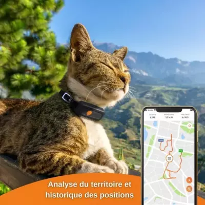 Traceur GPS pour Chat - Weenect XS (Black Edition 2023) - Suivi et localisation facile