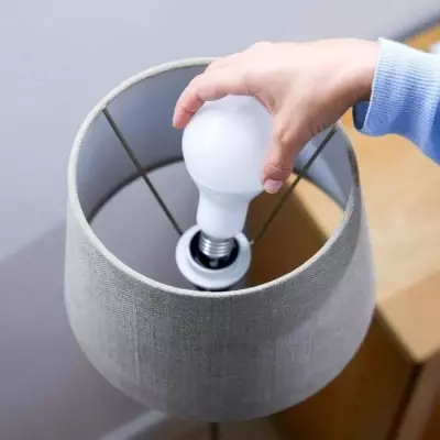 Ampoule connectée WiZ Blanc variable E27 100W - Intelligent et efficace
