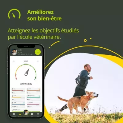 Collier GPS étanche pour Chiens et Chats - Rose Petal