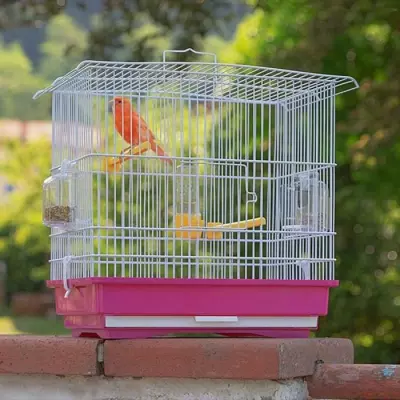 Cage GIUSY pour oiseaux rouge et blanc - Spacieuse et colorée
