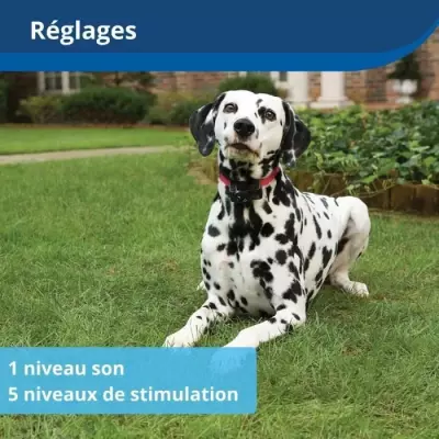 Collier récepteur sans fil pour animaux de compagnie - Compact et efficace