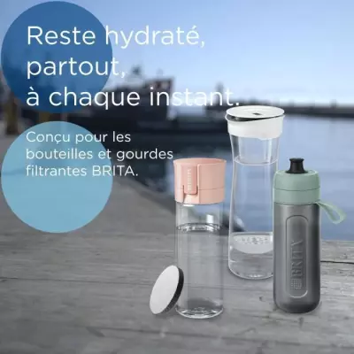 Pack de 3 filtres MicroDisc Brita pour une eau pure et saine