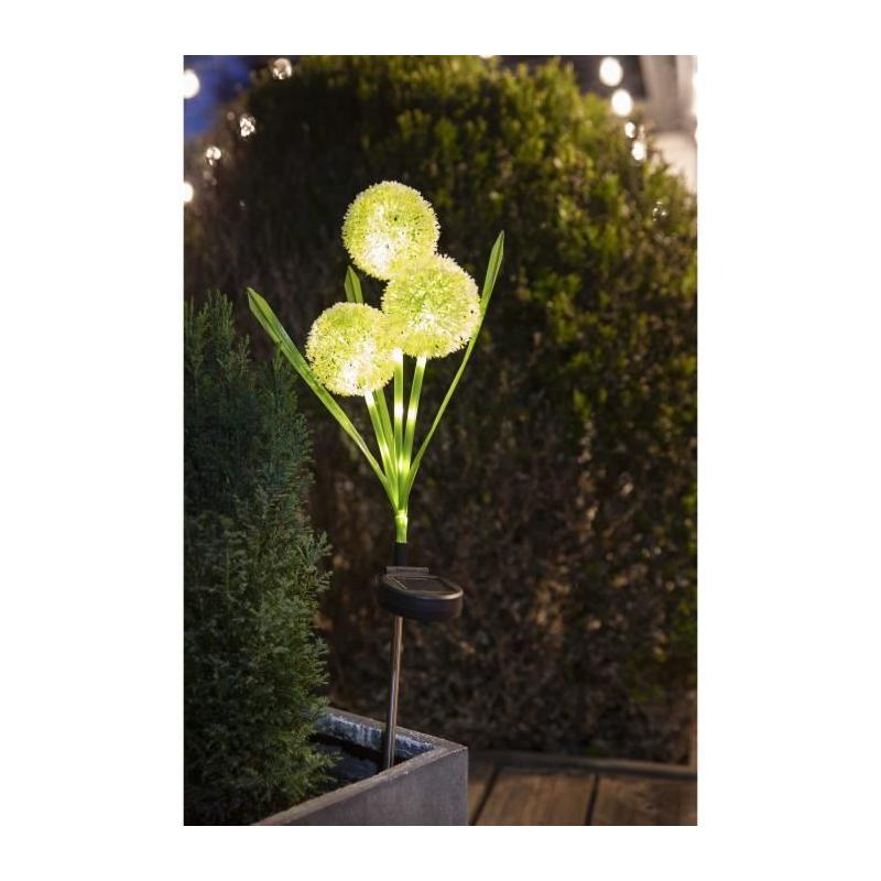 Décoration lumineuse solaire: Fleurs éclatantes - GALIX G4510