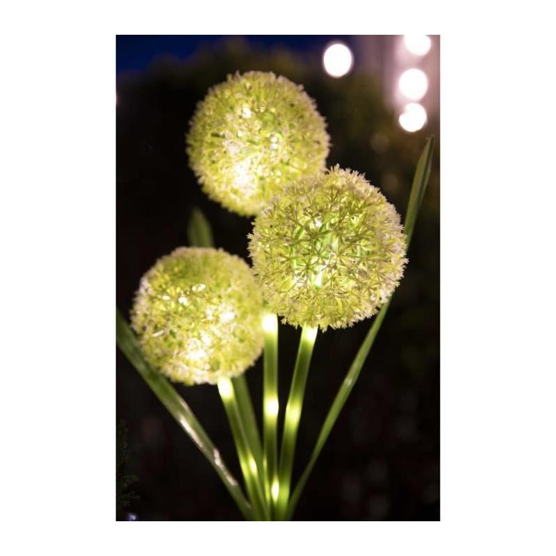 Décoration lumineuse solaire: Fleurs éclatantes - GALIX G4510