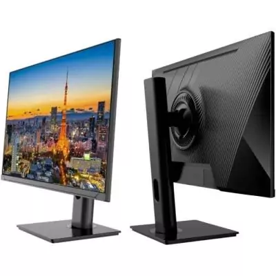 Écran PC JAPANNEXT 23,8 FHD IPS - Pied ergonomique