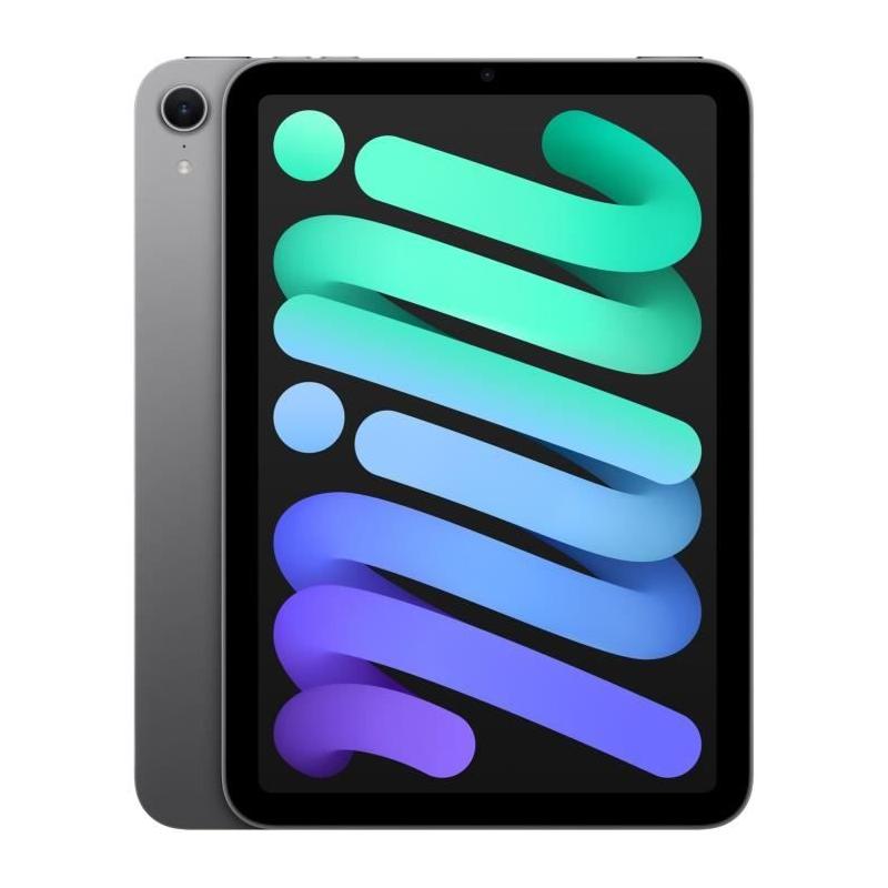 Nouvel iPad mini 2024 - 8.3'' - WiFi - 512 Go - Bleu