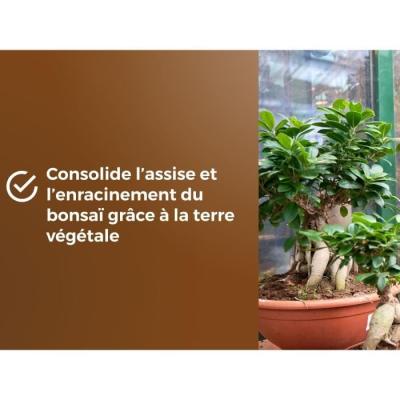 Terreau Bonsais - Enracinement optimal - 6L