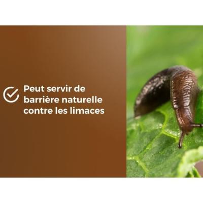 Paillage de Pouzzolane 6L - Protection Plantes