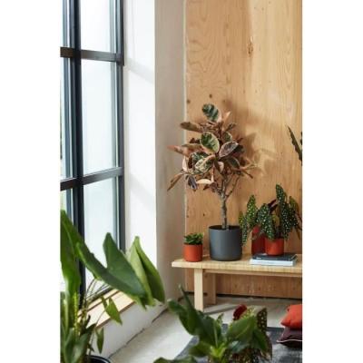Jardinière ronde en plastique ELHO b.for soft - Ø30 - Anthracite