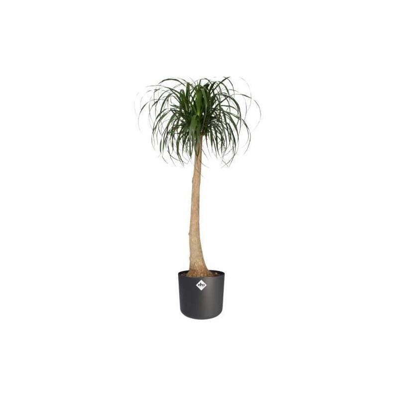 Jardinière ronde ELHO B.for Soft - Noir recyclé Ø35xH32cm