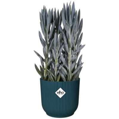 Pot De Fleurs Rond VIBES Bleu Foncé - Ø22 - Plastique de Qualité