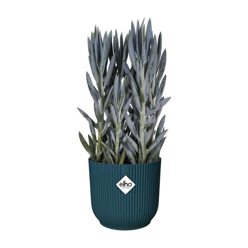 Pot De Fleurs Rond VIBES Bleu Foncé - Ø22 - Plastique de Qualité