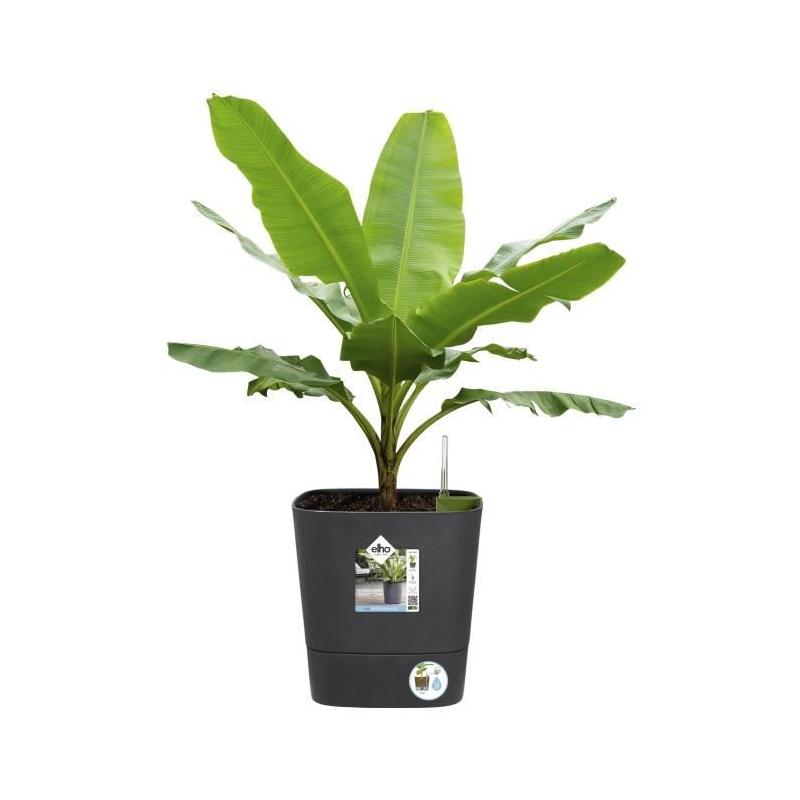 Pot de fleur Elho Plastique Carré Greensense Aqua Care Gris Charbon 15L