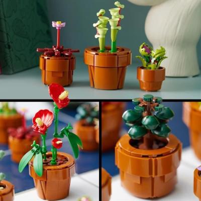 LEGO Icons 10329 Les Plantes Miniatures - Collection Botanique Déco