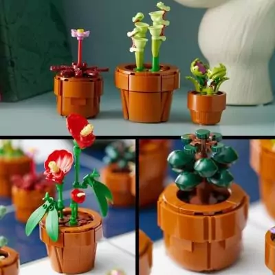 LEGO Icons 10329 Les Plantes Miniatures - Collection Botanique Déco