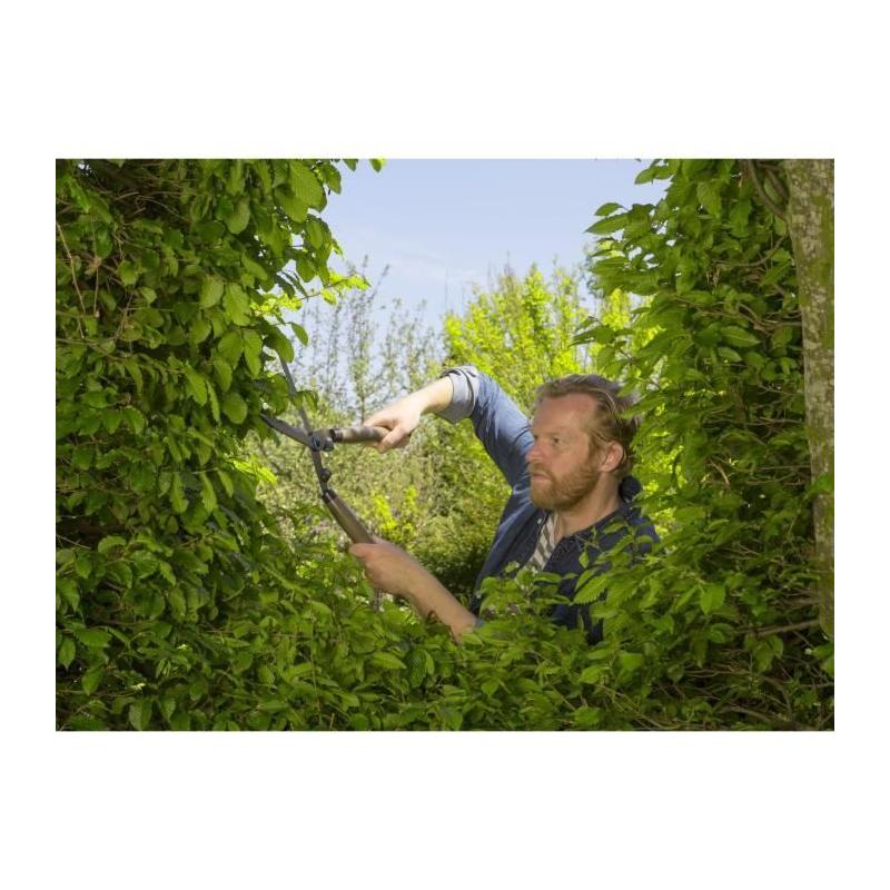 Cisaille à haies manche bois Gardena - Parfaite pour le jardin