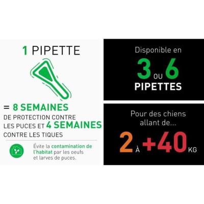 Protégez votre chien de 20 à 40 kg avec FRONTLINE 6 Pipettes Combo - Anti puces, tiques et poux