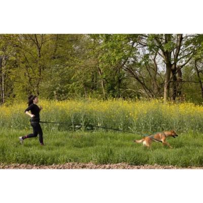 Longe de traction pour chien CLASSICA XL - 2.4m - Chiens jusqu'à 25 kg