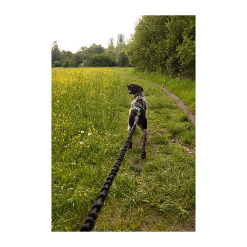Longe de traction pour chien - INTENSIA - 1.9 m - Double poignée