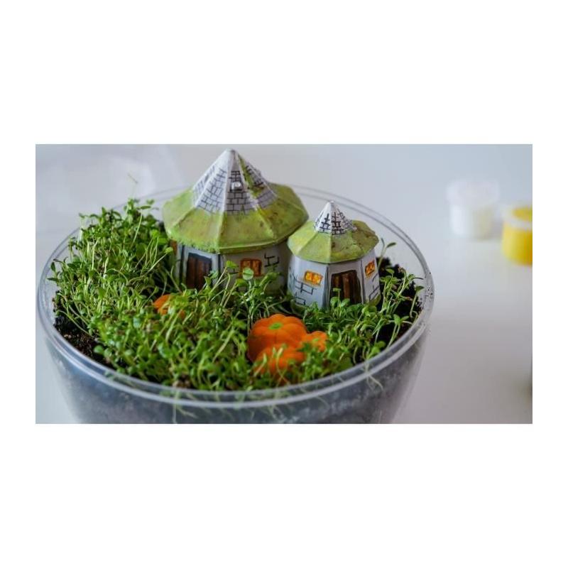 Terrarium Harry Potter - Cabane Hagrid à reproduire