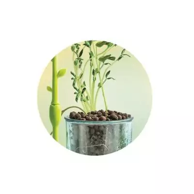 Mini Serre botanique CLEMENTONI - Dimensions compactes 