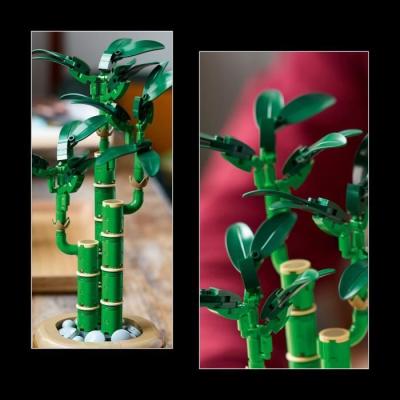 LEGO Botanique 10344 Le bambou de la chance - Plante artificielle innovante