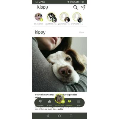 Traceur GPS KIPPY EVO - Jaune Citron | Kit Chasse 