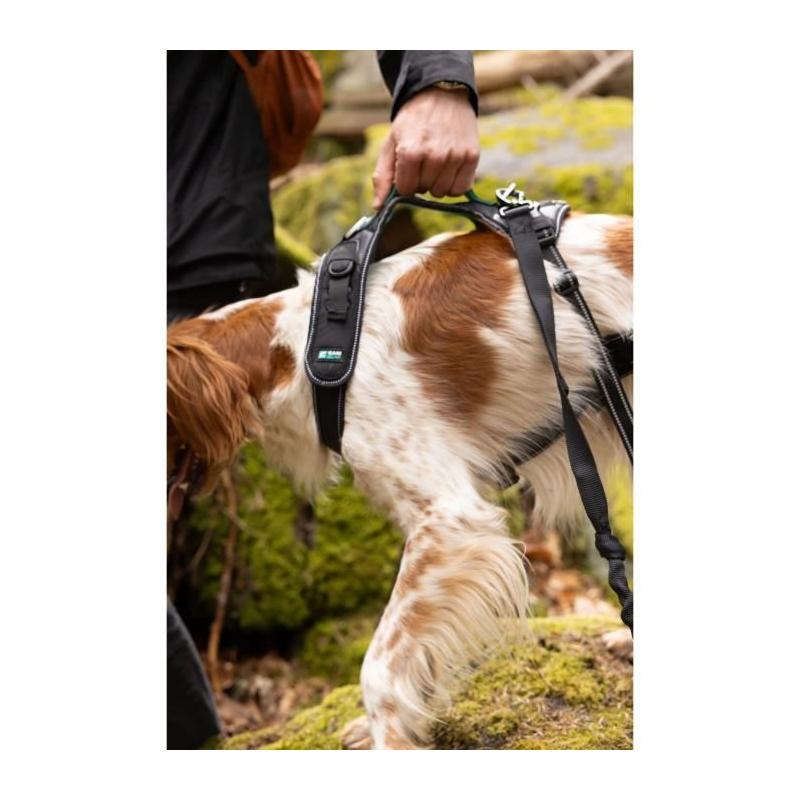 Harnais pour chien - SYMBIOZ M - Noir / Bleu - Confort et style