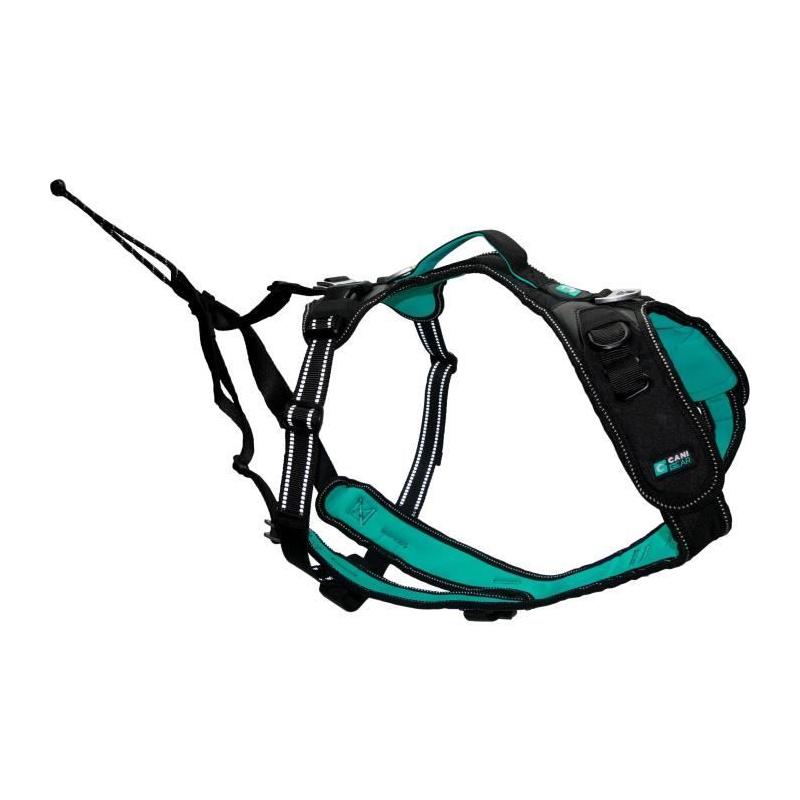 Harnais pour chien SYMBIOZ - Taille S - Design Noir/Bleu
