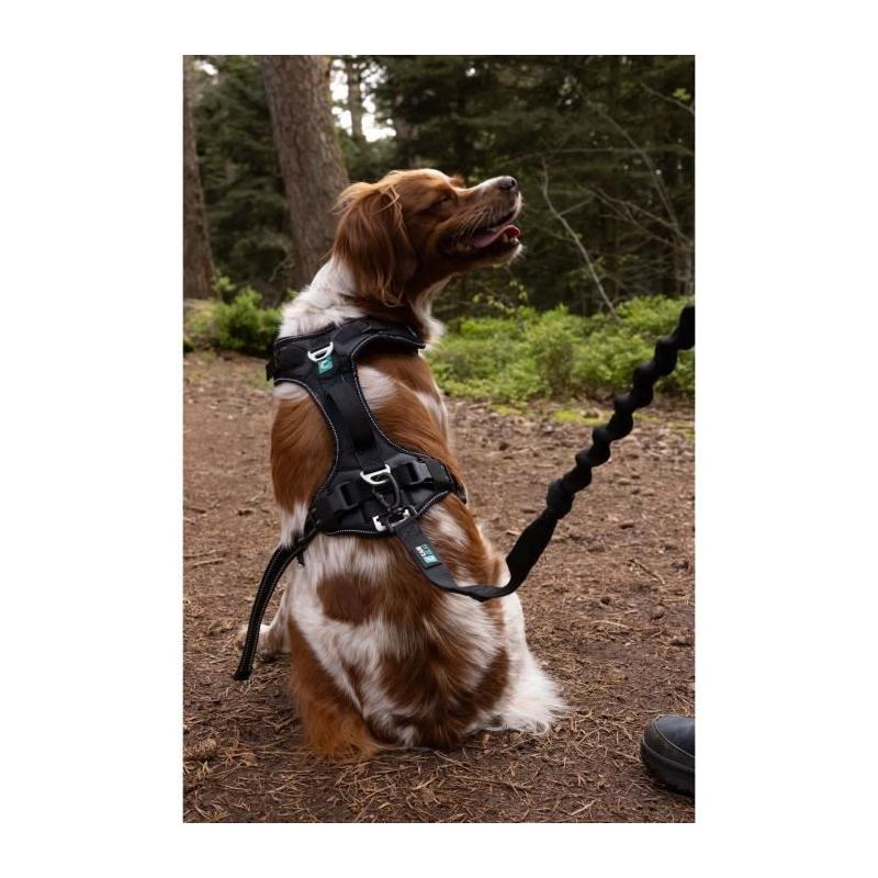 Harnais pour chien SYMBIOZ - Taille S - Design Noir/Bleu