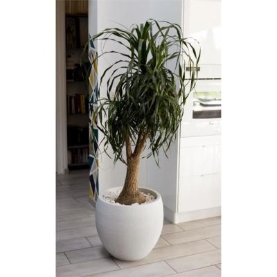Pot de fleur EDA Graphit Ø50cm - 46L Blanc cérusé