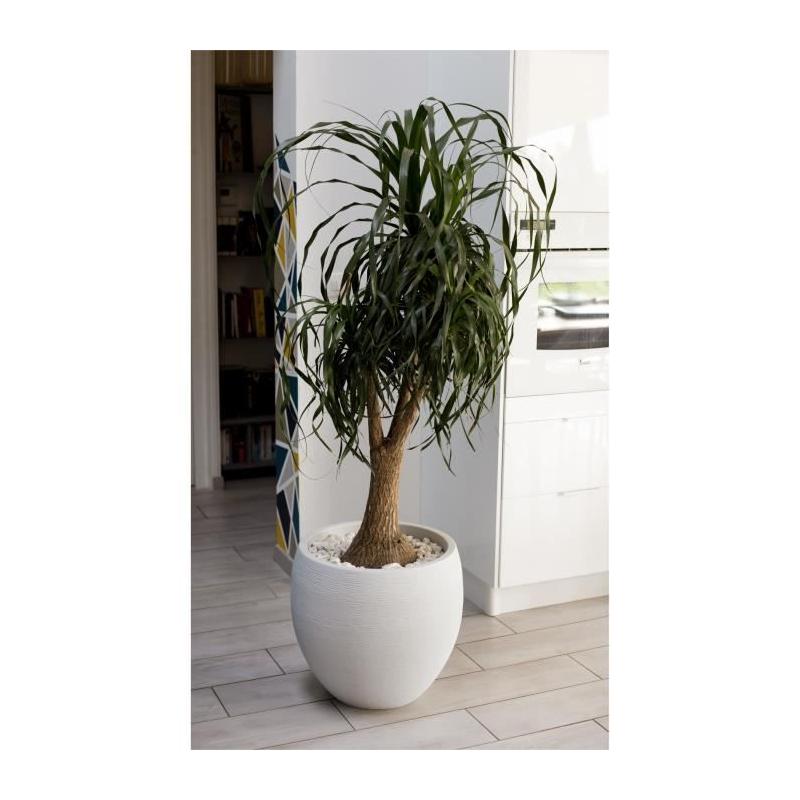 Pot de fleur EDA Graphit Ø50cm - 46L Blanc cérusé