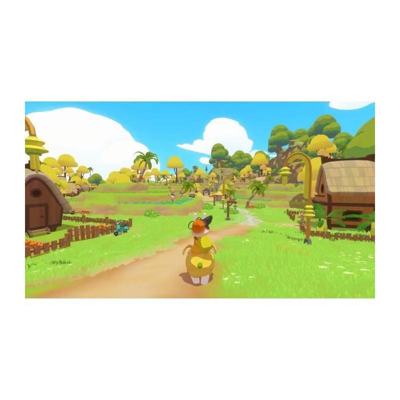 Petit Island - Jeu Xbox Series X: Dimensions Compactes