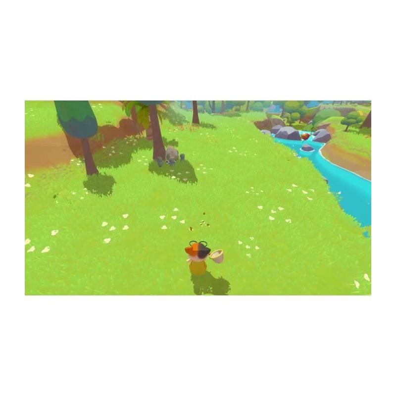 Petit Island - Jeu Xbox Series X: Dimensions Compactes