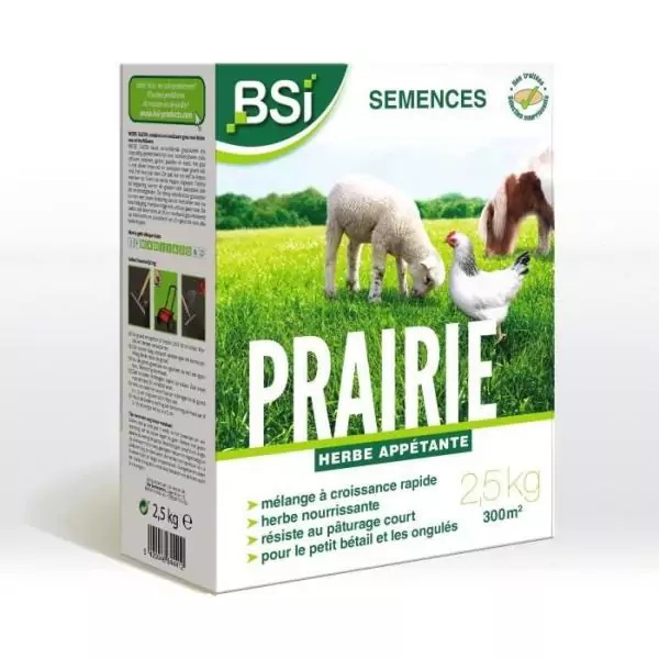 BSI - Semences De Gazon - Prairie - Tres Haute qualité - Grande Surface - Jusqu'a 300m² - 2,5Kg