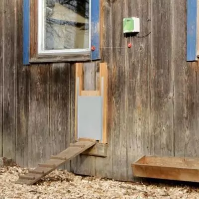 Porte coulissante pour poulailler - Facile à installer