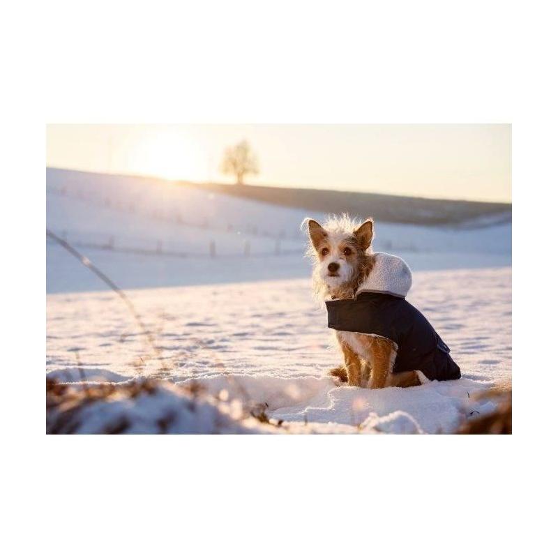 Manteau chaud pour chien Kerbl Teddy - Bleu 48 cm